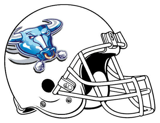 Buffalo Bulls 1997 Helmet Logo DIY iron on transfer (heat transfer)